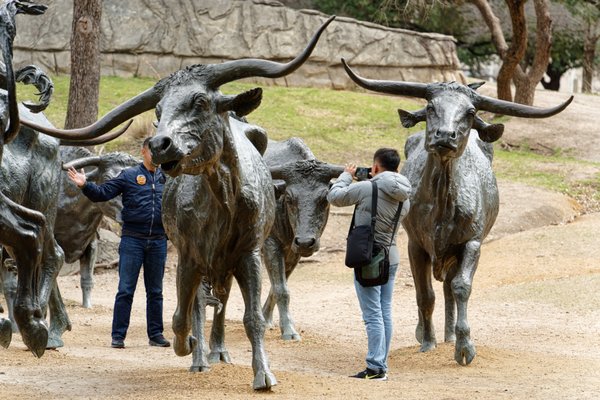 Pioneer Plaza by null