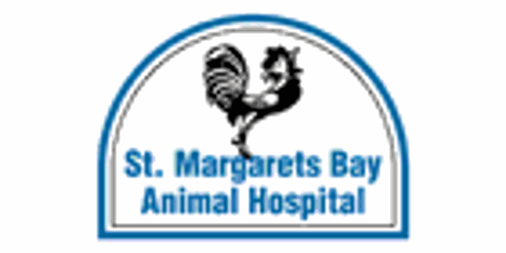 ST MARGARETS BAY ANIMAL HOSPITAL 11 Reviews 5229 Saint Margarets Bay Road, Upper Tantallon ST MARGARETS BAY ANIMAL HOSPITAL 11 Reviews 5229 Saint Margarets Bay Road, Upper Tantallon