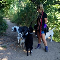 Denise's Pet Care - Meeting new friends!