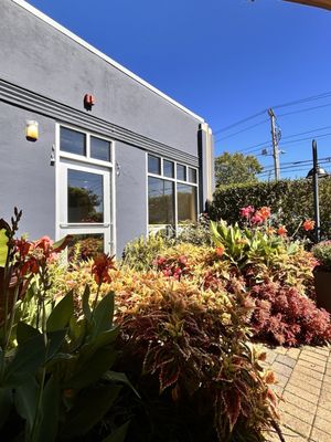 Seven Stars Bakery - Hope Street by null