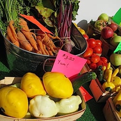 Fairport Farmers' Market - 26 Sept 2015