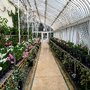 Photo of The Palm House