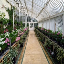 The Palm House