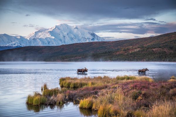 Denali Backcountry Lodge by null