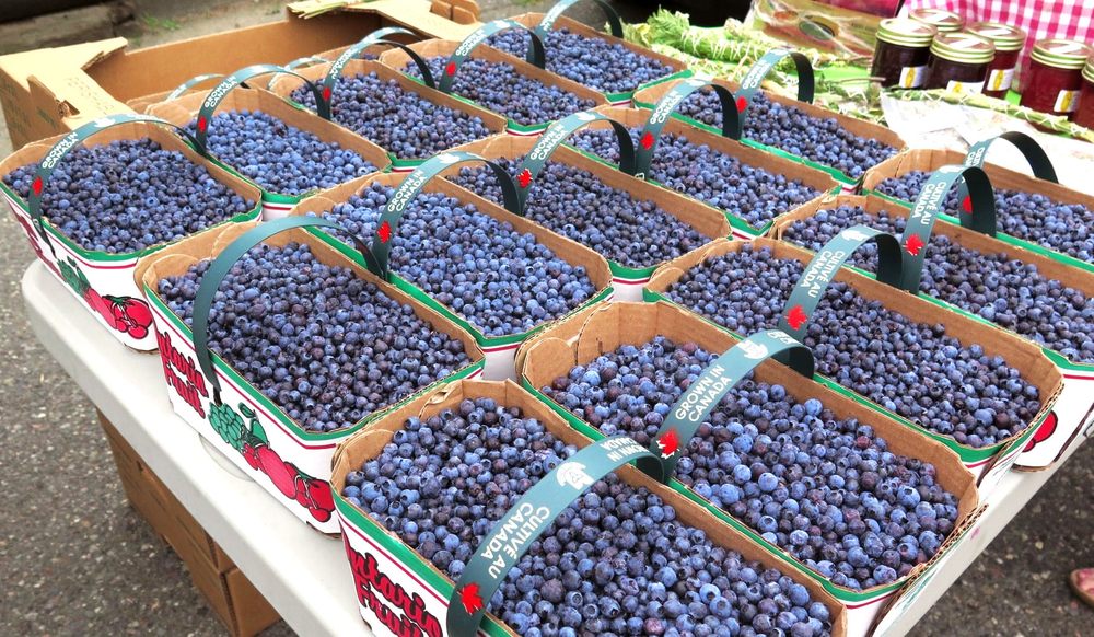 KAKABEKA FARMERS’ MARKET Updated July 2024 4556 Highway 11/17