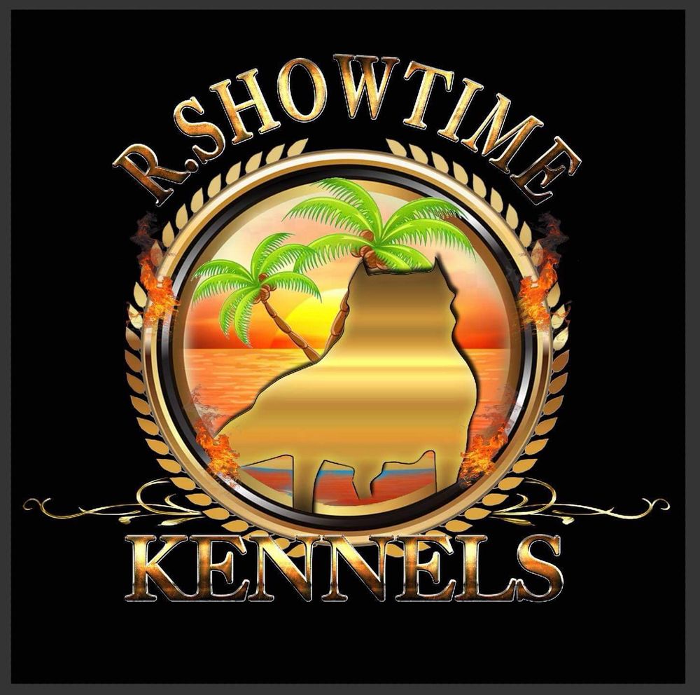 R. SHOWTIME KENNEL CLUB 11 Photos Miami Gardens, Florida Pet