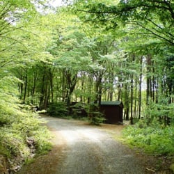 Parkorman