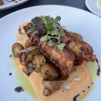 Il Poggiolo - Octopus - Italian Near Me - Hinsdale, Illinois Il Poggiolo - Octopus - Italian Near Me - Hinsdale, Illinois