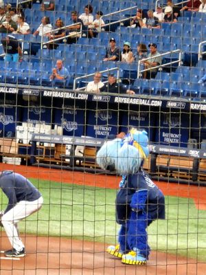 Tropicana Field by null