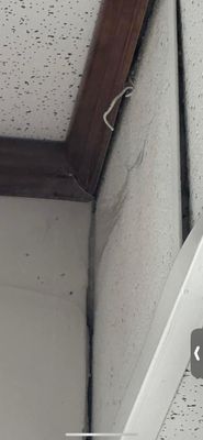 Brown Sugar Thai Cuisine by null