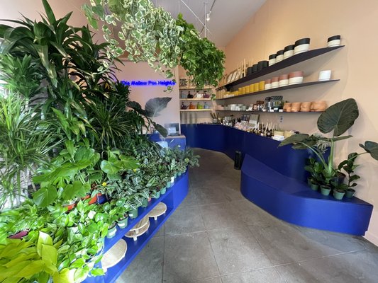 The Mellow Mission by null