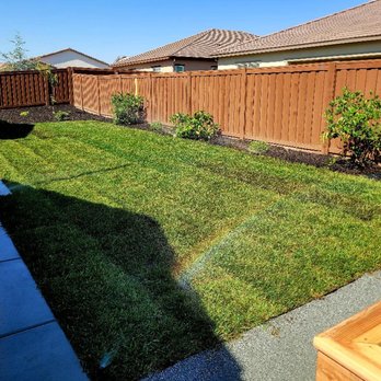 Forever Green Cali - Landscaping Near Me