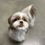Austin Pet Stylist