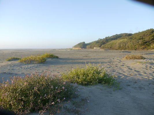 Beachside State Park by null