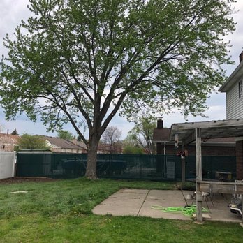 Able Tree Experts - Tree Services Near Me - Shelby Township, Michigan