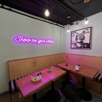 NEKO: A Cat Cafe - Themed Cafes Near Me - Seattle, Washington
