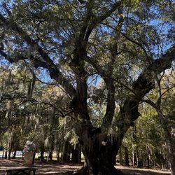 Old Santee Canal Park