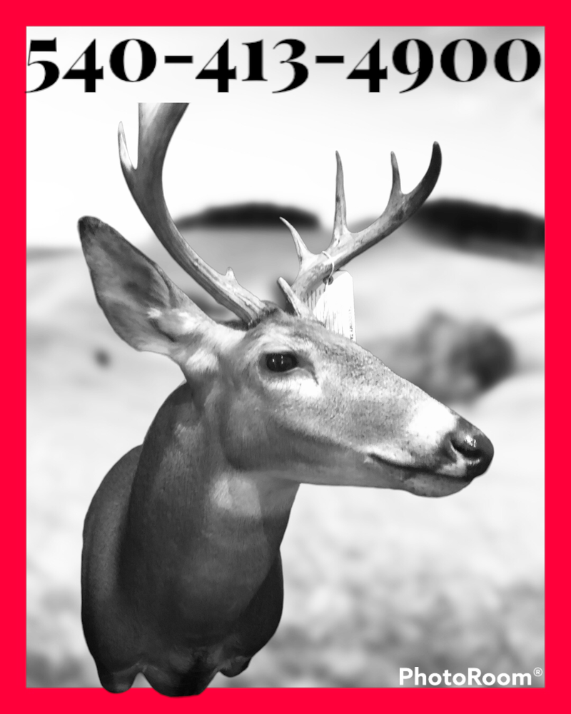 Cannedy’s Taxidermy - taxidermy in King George, VA