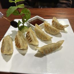 Gyoza Gyoza