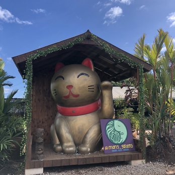 Mari's Gardens - Lucky Cat! - Nurseries & Gardening Near Me - Mililani, Hawaii Mari's Gardens - Lucky Cat! - Nurseries & Gardening Near Me - Mililani, Hawaii