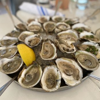 Pilot - Oyster sampler! - Cocktail Bars Near Me - Brooklyn, New York