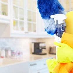 Elena's Personalized Cleaning