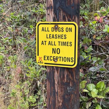 Waldport / Newport KOA - July 30, 2025 - Leash required. - RV Parks Near Me - Waldport, Oregon