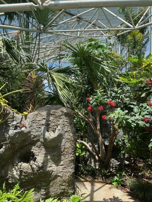 Amarillo Botanical Gardens by null