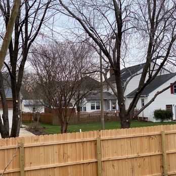 Simpson's Tree Service - More trimmed trees - Tree Services Near Me - Chesapeake, Virginia Simpson's Tree Service - More trimmed trees - Tree Services Near Me - Chesapeake, Virginia
