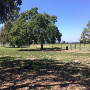 Arbor Dog Park - Find Pepper - Dog Parks Near Me - Los Alamitos, California Arbor Dog Park - Find Pepper - Dog Parks Near Me - Los Alamitos, California