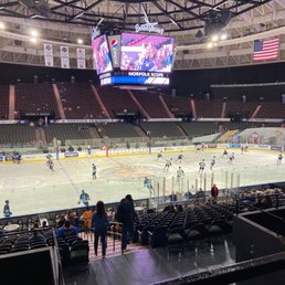 Norfolk's own Admirals