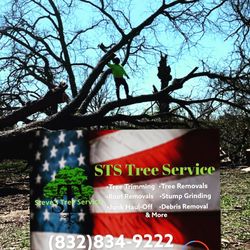 Steve's Tree Service