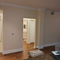 AmPro Painter - 2 color finish.
