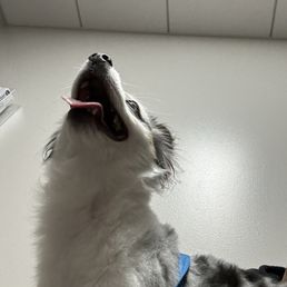 Happy and ready to go home!