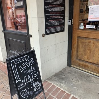 Pounce Cat Cafe - Themed Cafes Near Me - Savannah, Georgia Pounce Cat Cafe - Themed Cafes Near Me - Savannah, Georgia