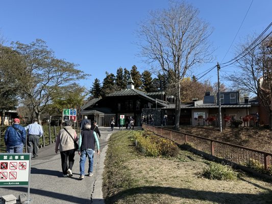 Daio Wasabi Farm by null