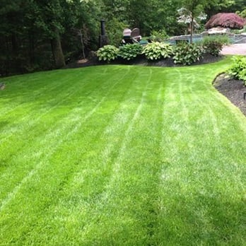 Elite Turf Care - Lawn in Bolton, Mass. fertilized by Elite Turf Care. - Landscaping Near Me - Sterling, Massachusetts Elite Turf Care - Lawn in Bolton, Mass. fertilized by Elite Turf Care. - Landscaping Near Me - Sterling, Massachusetts