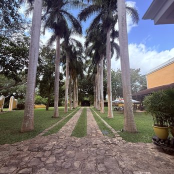 Hacienda Xcanatún - Palm trees - Hotels Near Me - Mérida, YUC