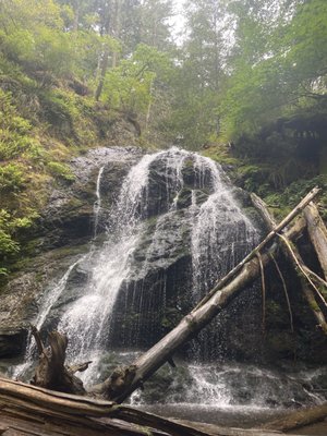 Moran State Park by null