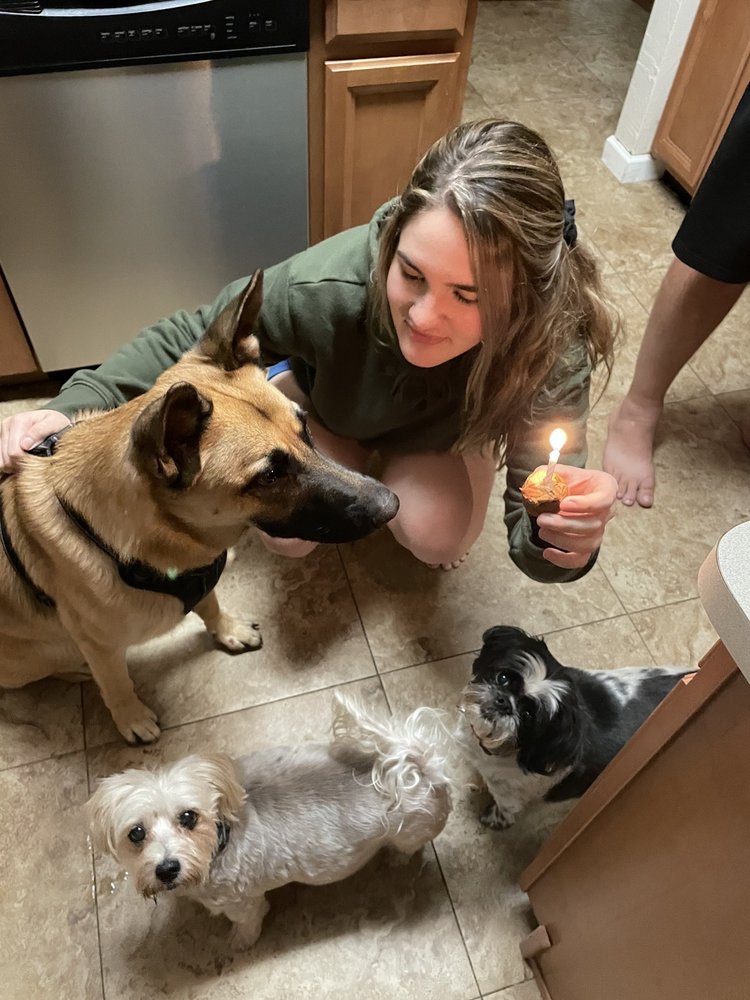 MISS CHARLOTTE’S PAMPERED PETS BOUTIQUE & SPA Updated October 2024