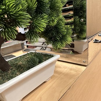 Song Lan Restaurant - Plastic Bonsai - Sushi Bars Near Me - Dublin, Ohio