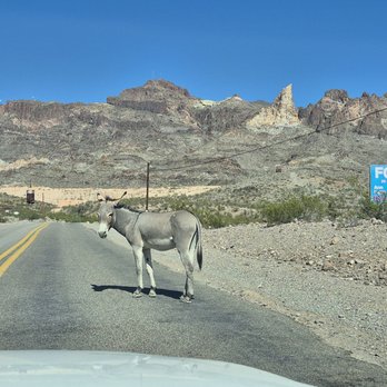 Town of Oatman - Local Flavor Near Me
