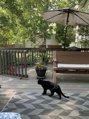 Deck King Restorations, Inc.