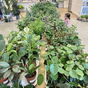 Plants by Post - Nurseries & Gardening Near Me - Campbell, California