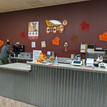 Chandler Dogs 24/7 - Front desk - Pet Boarding Near Me - Chandler, Arizona