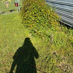 Metz Handyman & Lawn Care