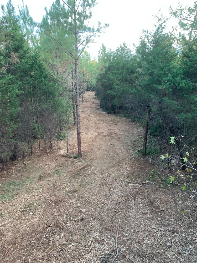 AMERICAN ENVIRONMENTAL CLEARING Updated April 2024 Winnsboro, South