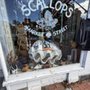 Scallops Mineral & Shell Emporium
