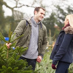 Pines and Needles - Finchley