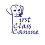 Photo of First Class Canine